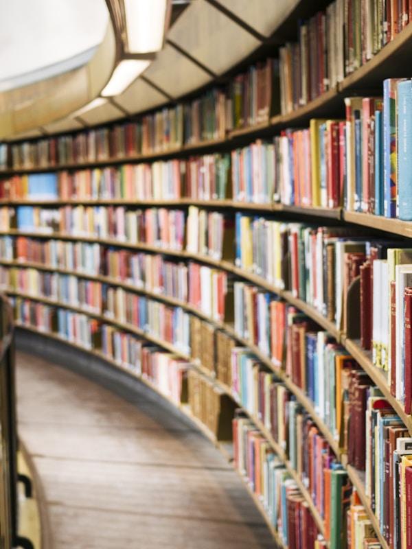 قراءة في السنن القرآنية لسقوط الطغاة ونهوض الأمم