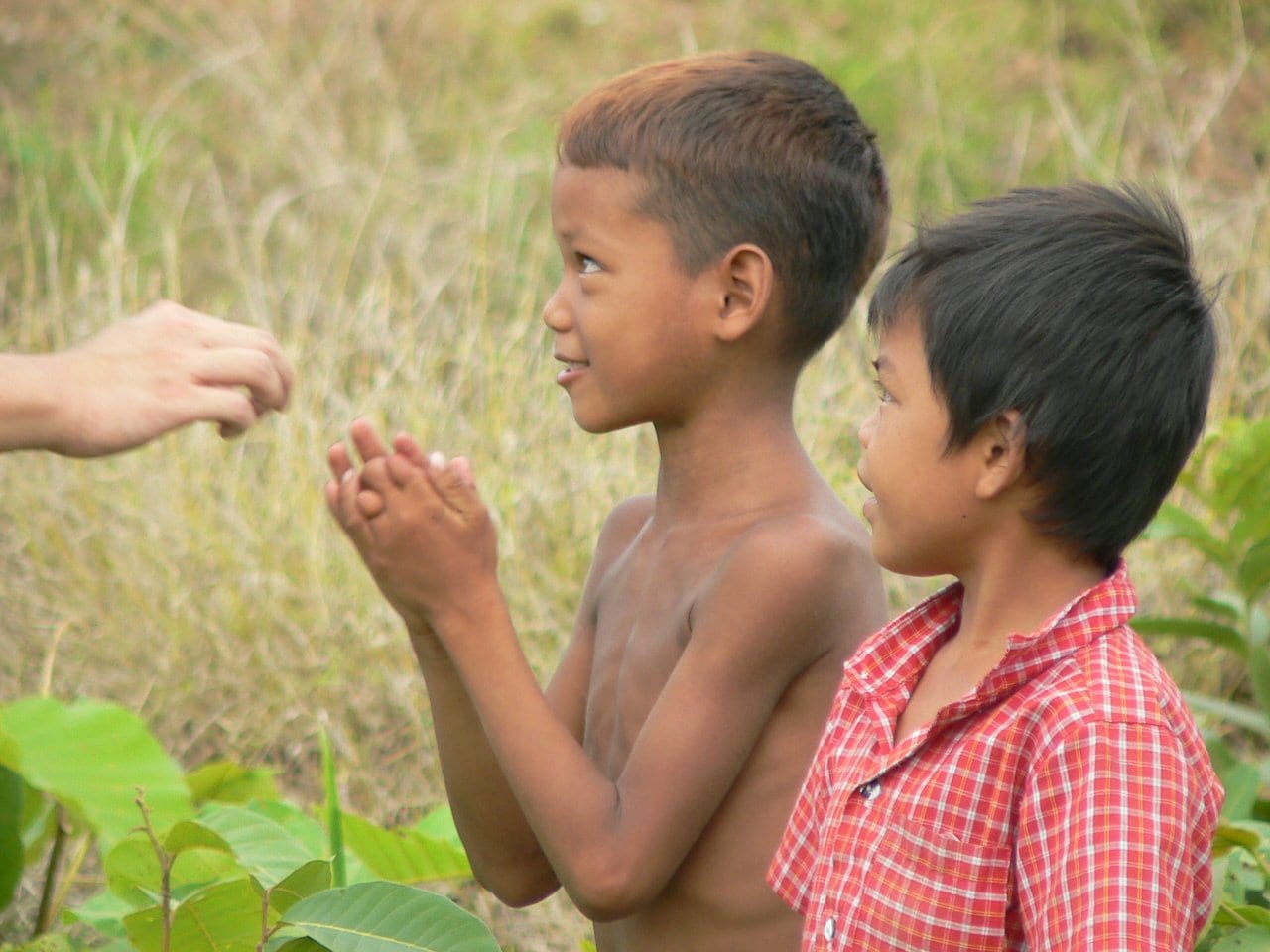 القناعة .. كنز ضاع فتكالب المسلمون على المحاكم