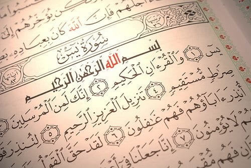 مؤمن ياسين.. يصدح بالحق في وجه الظالمين