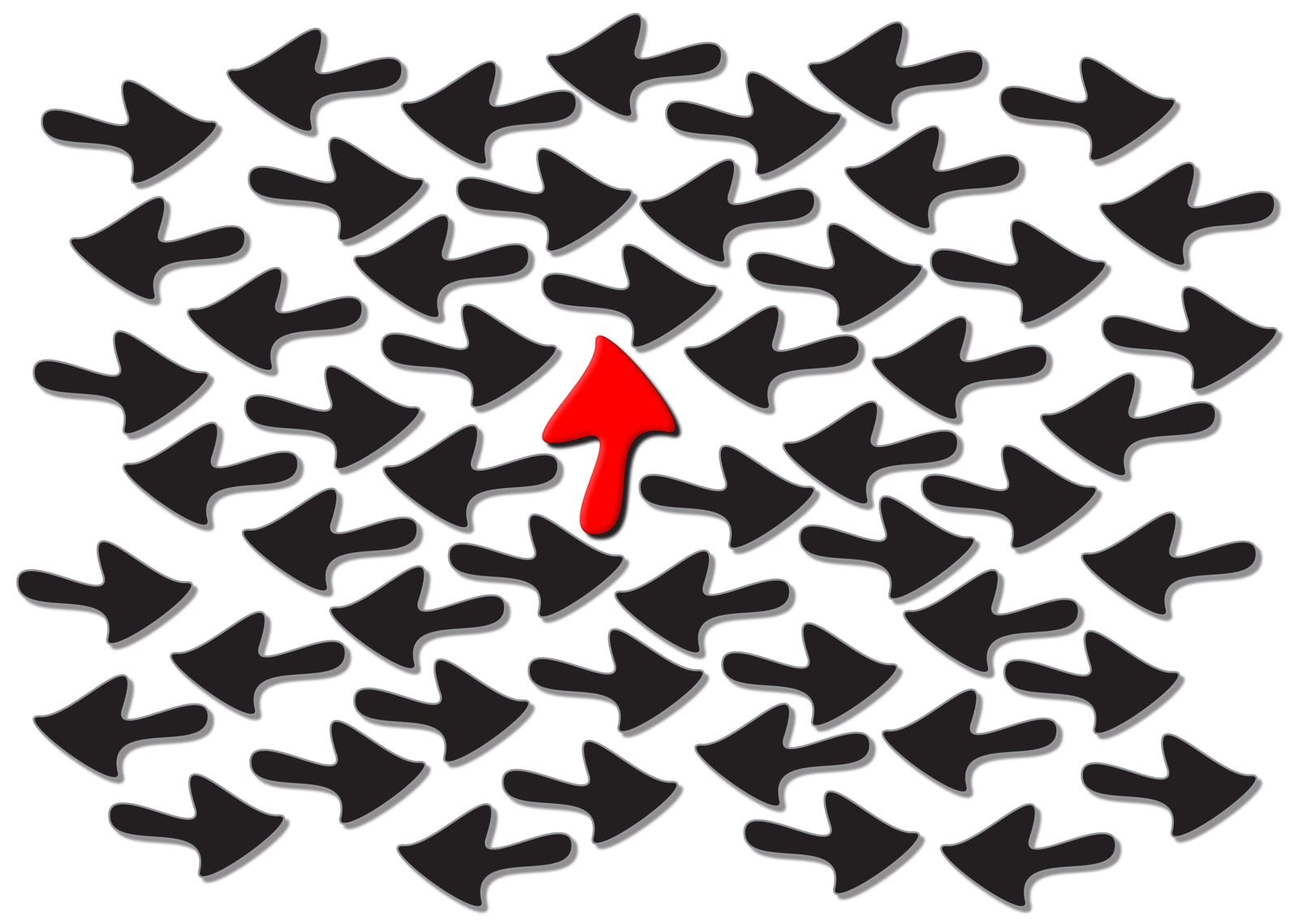 الانخداع بالشبهات .. خلل تربوي يتطلب المواجهة