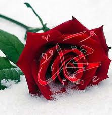 محمَّد صلَّى الله عليه وسلَّم .. الذي نُحِب ..