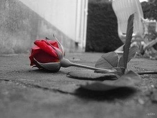 التشاؤم الدعوي .. مقبرة الإنجاز