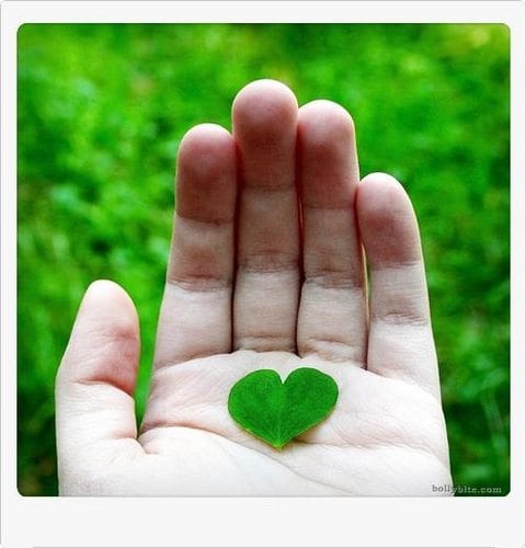 الارتقاء والتطوّر .. ضرورة حياتية