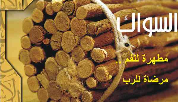 السواك: مطهرة للفم مرضاة للرب