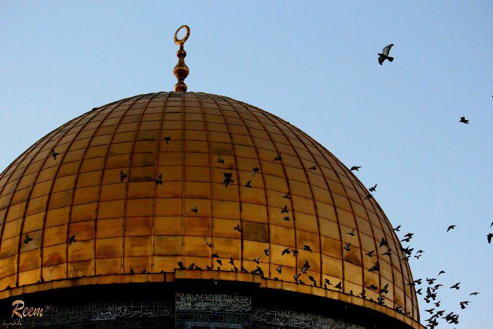 الإعلان عن عدة فعاليات في مصر نصرة للقدس والأقصى