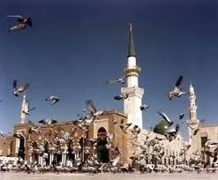 تمتّع بحنان ورقّة حبيبك المُصطفى