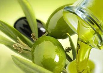 زيتونة .. لا شرقية ولا غربية