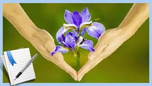 للمربي النَّاجح أخلاقٌ وصفات