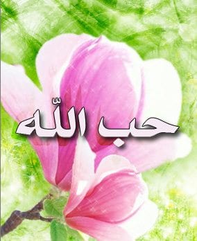 لو أن القلب يتكلم