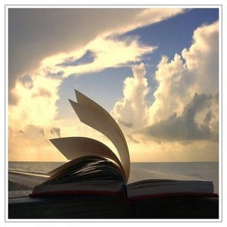 توظيف الأفراد.. إشكالات وحلول داخل الدعوة