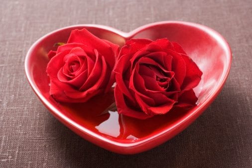 رسالة إلى زوجة ابني ..