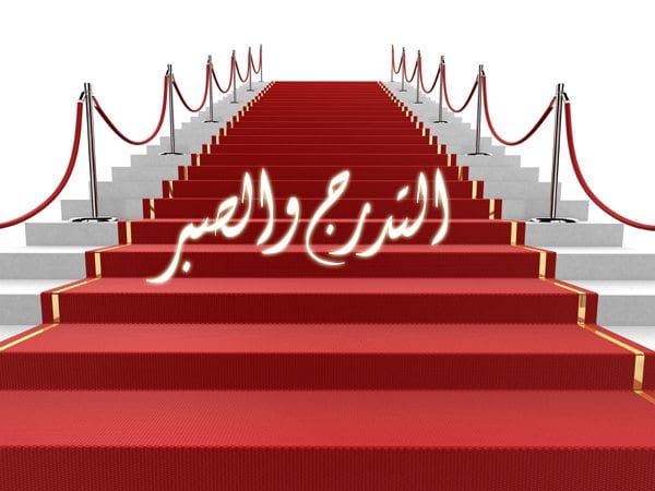 التدرج.. الطريق الأمثل للإصلاح