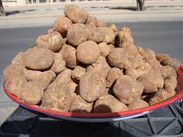 " ماء الكمأ "  .. شفاء للعين