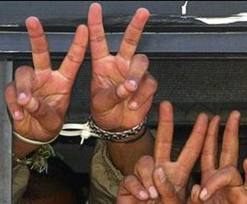 معركة الأمعاء الخاوية .. ميثاق شرف بين الأسرى