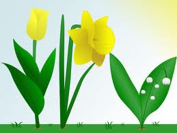 "نحو أفراح الآخرة" ..