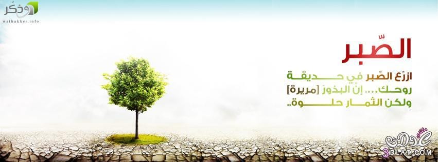 ورد الفَرَج من آيات القرآن