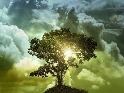 حياة السائرين إلى الله.. بين الشكر والصبر