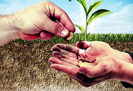 الزكاة .. طهارة ونماء