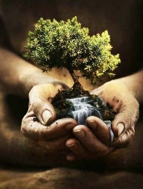 بذور الخير تثمر .. فلا تنزعج من العطاء!!