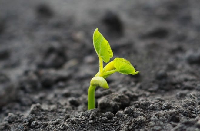 حياتنا والعودة إلى الأصول