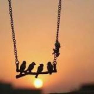 الرفقه الدافئة