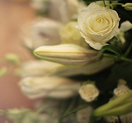 "زينة" هل تعلّقَ قلبُك بها؟!