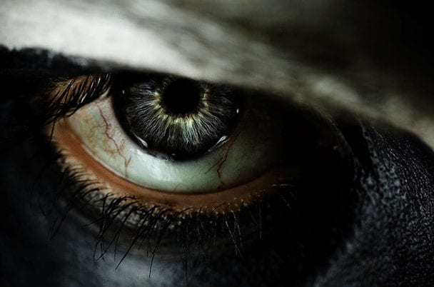 الفاضلة الأخيرة!!