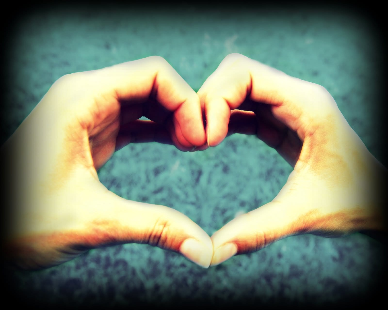 القـلب.. معين الصفاء