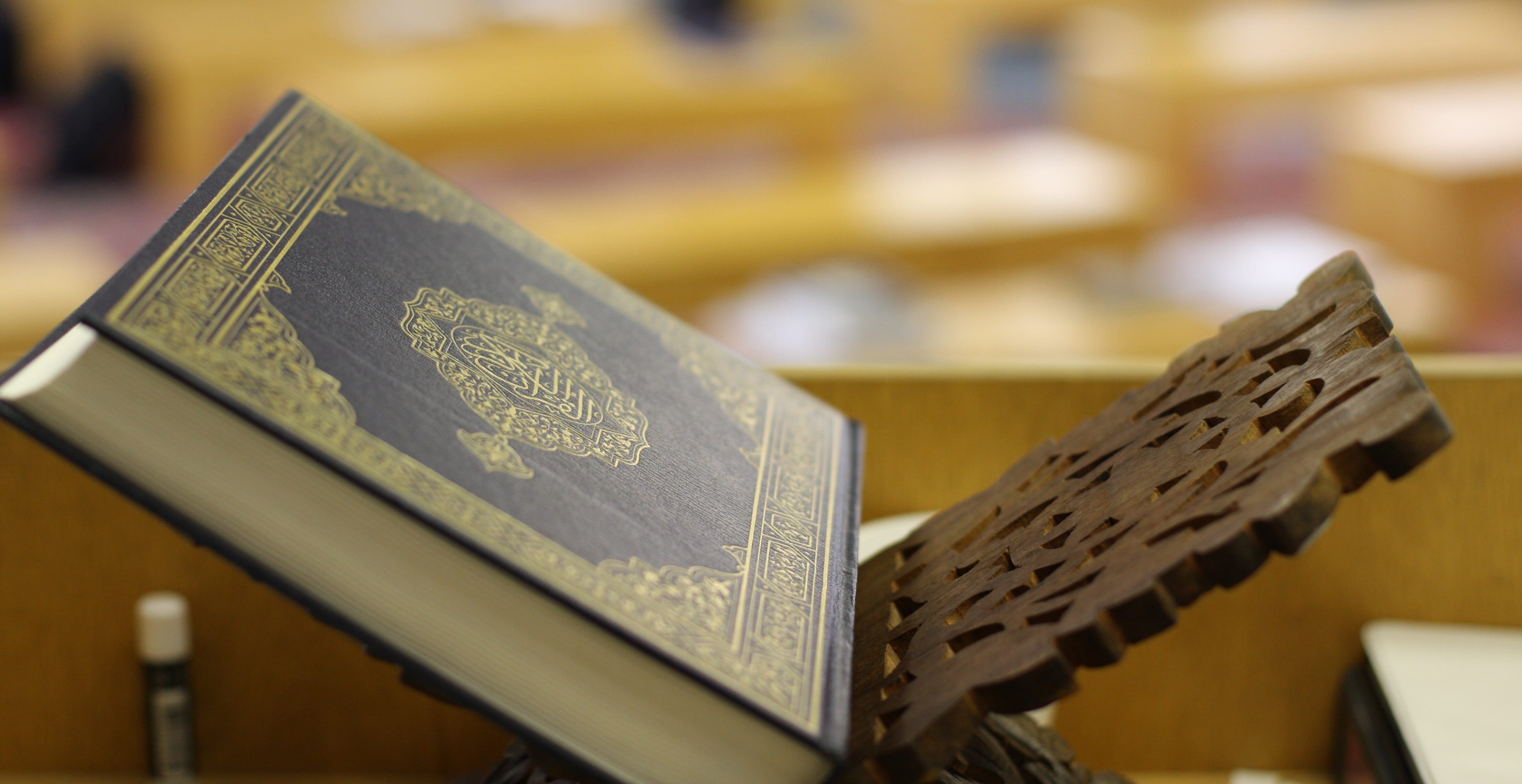 بلادنا في رحاب سورة التوبة