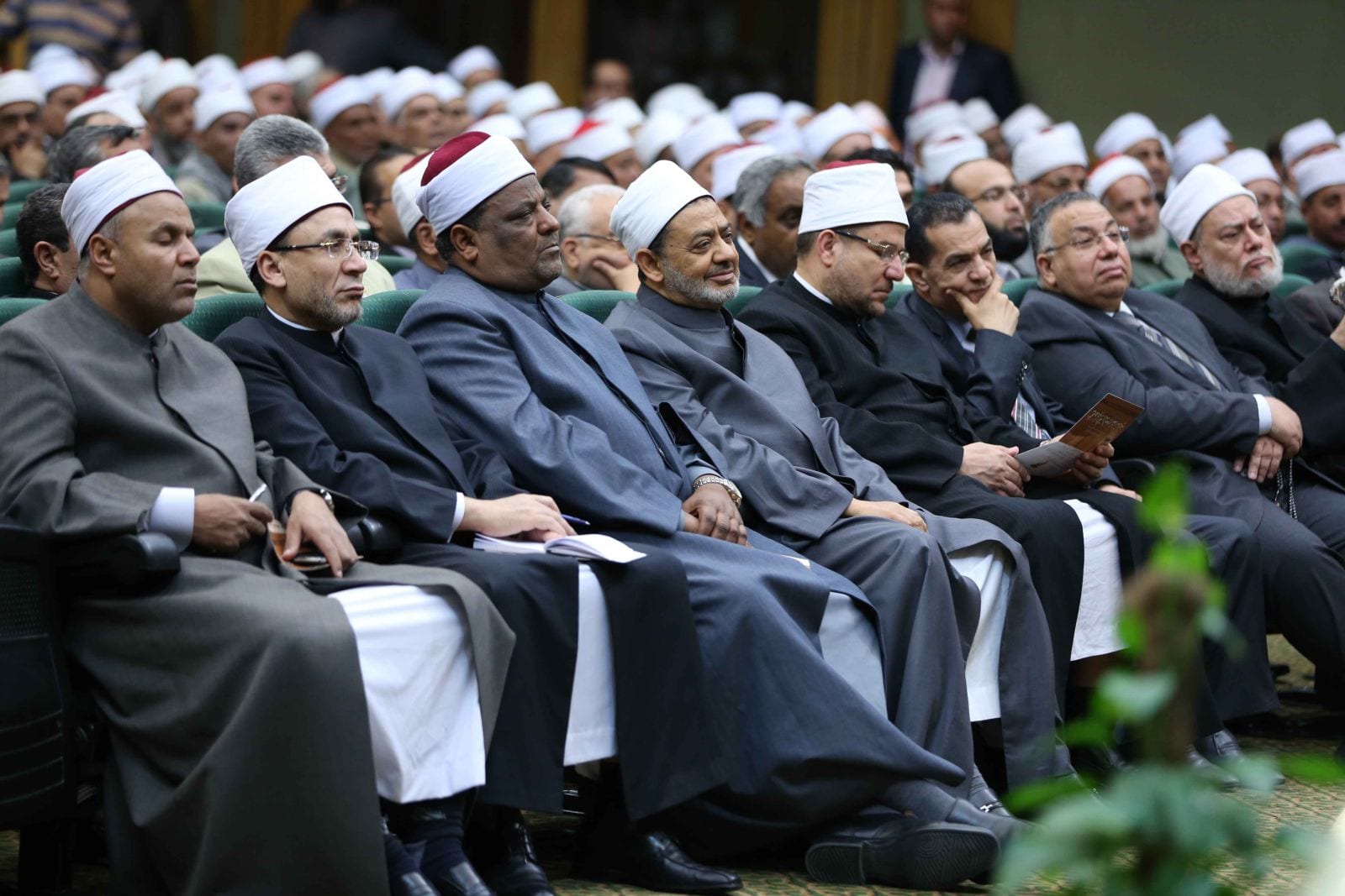 العلم الشرعي والموقف الشرعي