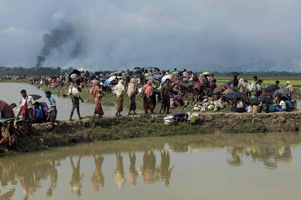 مسلمو الرّوهنغيا..بين هَوْلِ الكارثة وغيابِ النّصير!
