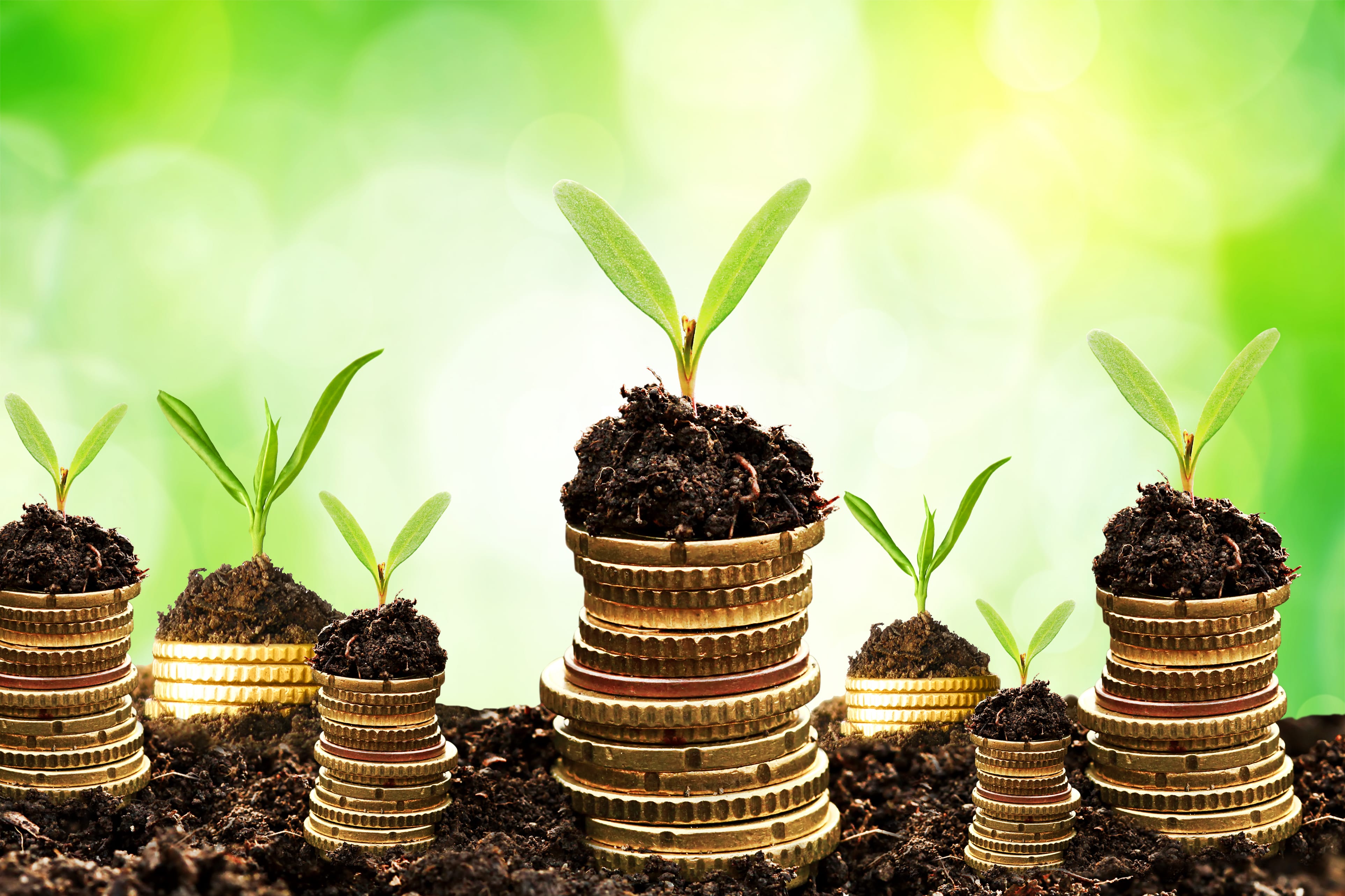 كيف تستثمر في نفسك؟ عشر طرق لتكسب المزيد من المال