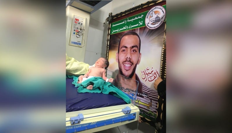 من عتمة السجن.. الأسرى يُرسلون نطفاً حاملة إرادة الحياة