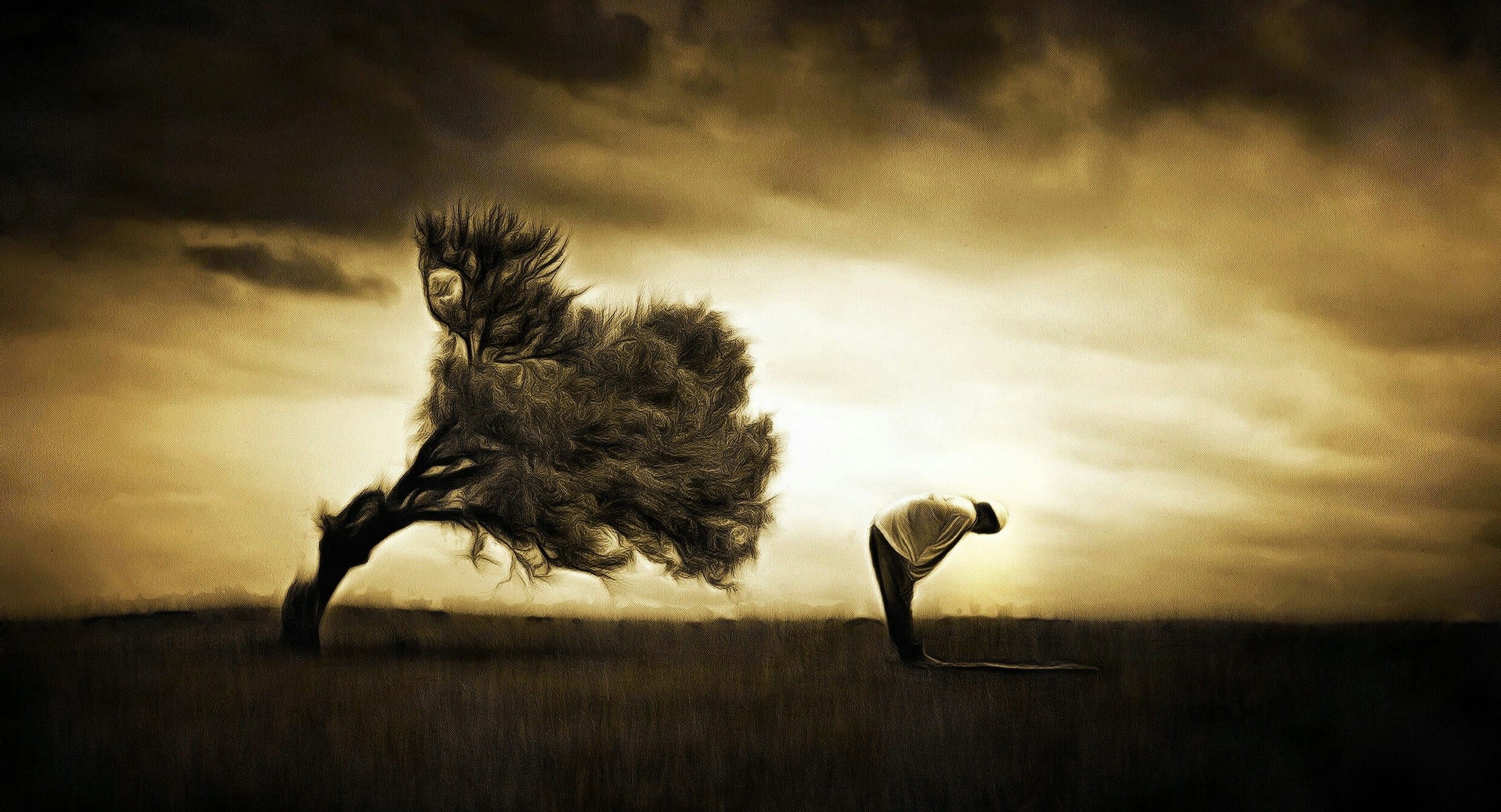 واحَرّ قلبي من تقلّباته! كيف أحكُمُها؟