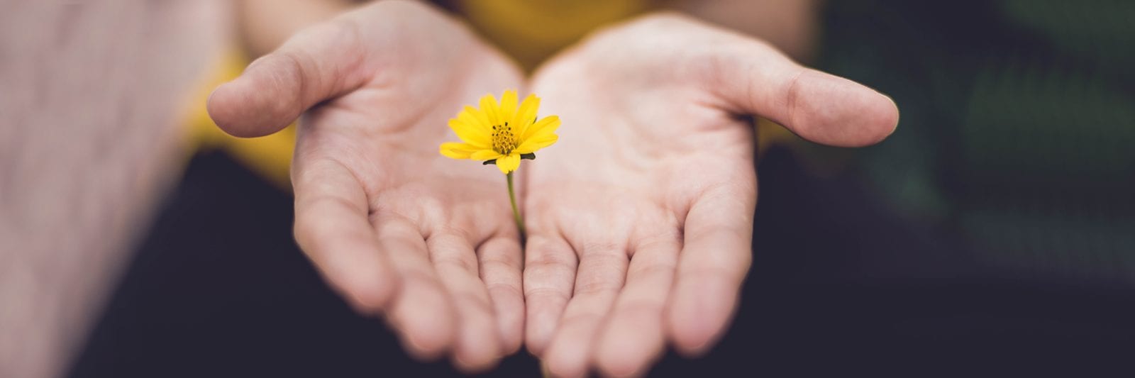 الاعتذار.. سلوك حضاري يعكس ثقافة المجتمع