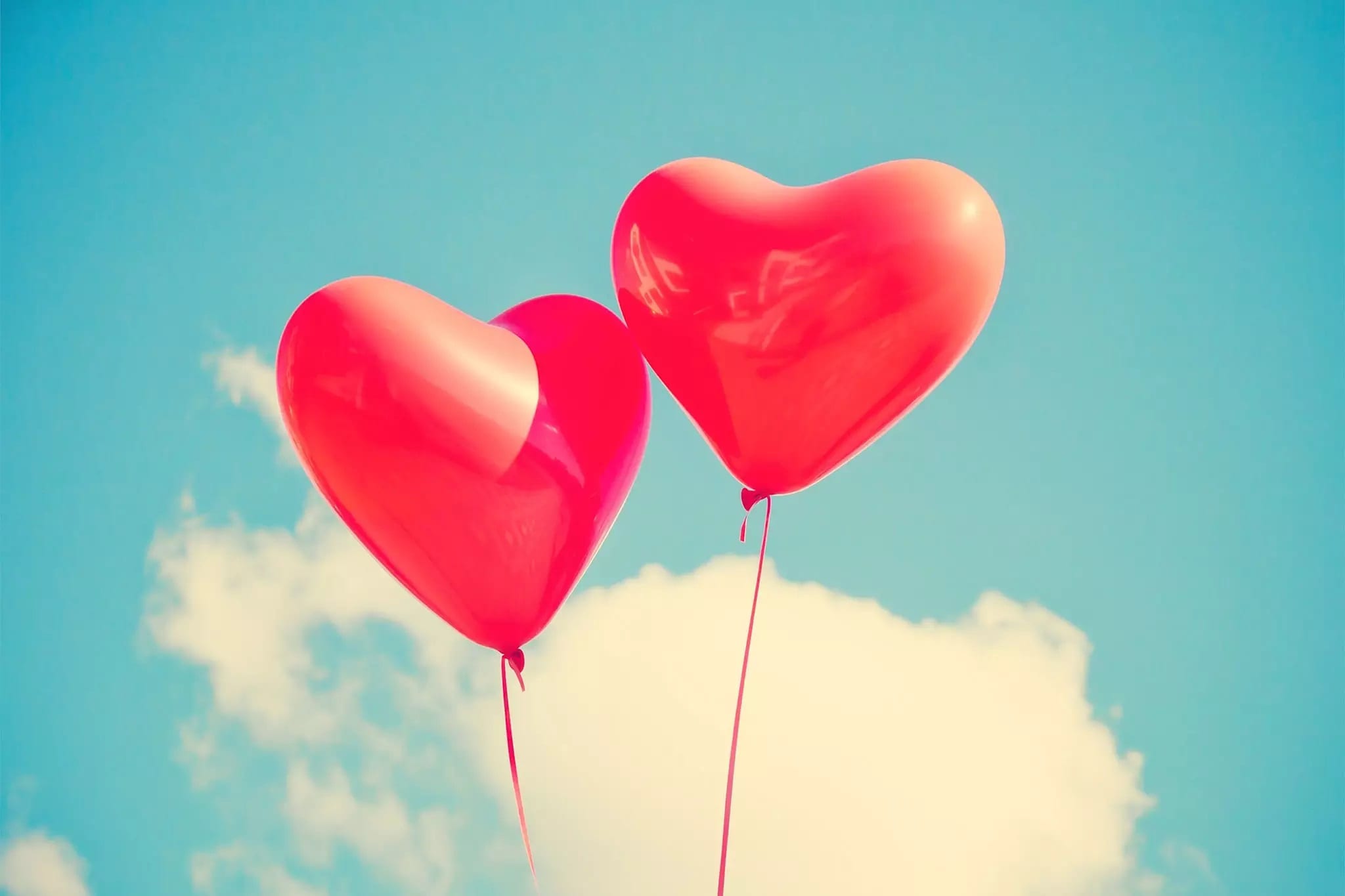 "الفالنتاين" وشخصية المسلم في ميزان الثبات والتبعية