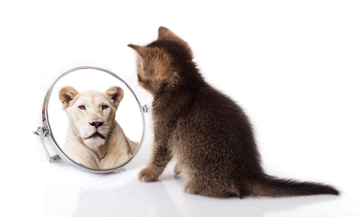 النزعة القارونية ووهم العظمة!