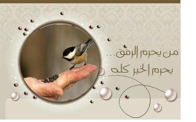 "برفق"..سبيلكِ للتميز