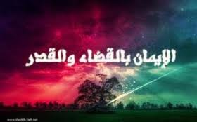 عنبر: "القدر" ليس ذريعة لارتكاب المعاصي