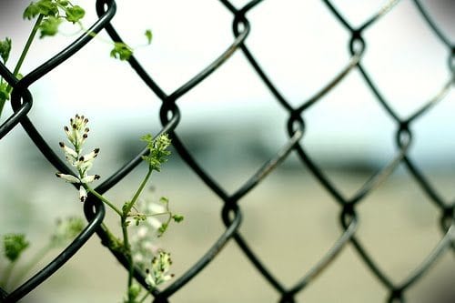 أيتها الداعية: أهل البيت!!!