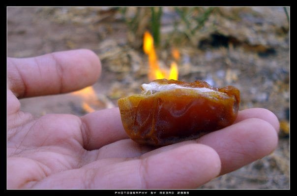 فاطمة الفهرية..مدرسة في الإنفاق