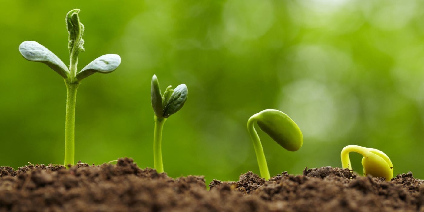 هل أنت مستعد للتغيير: كيف تتعامل مع التغيير؟ (2-2)