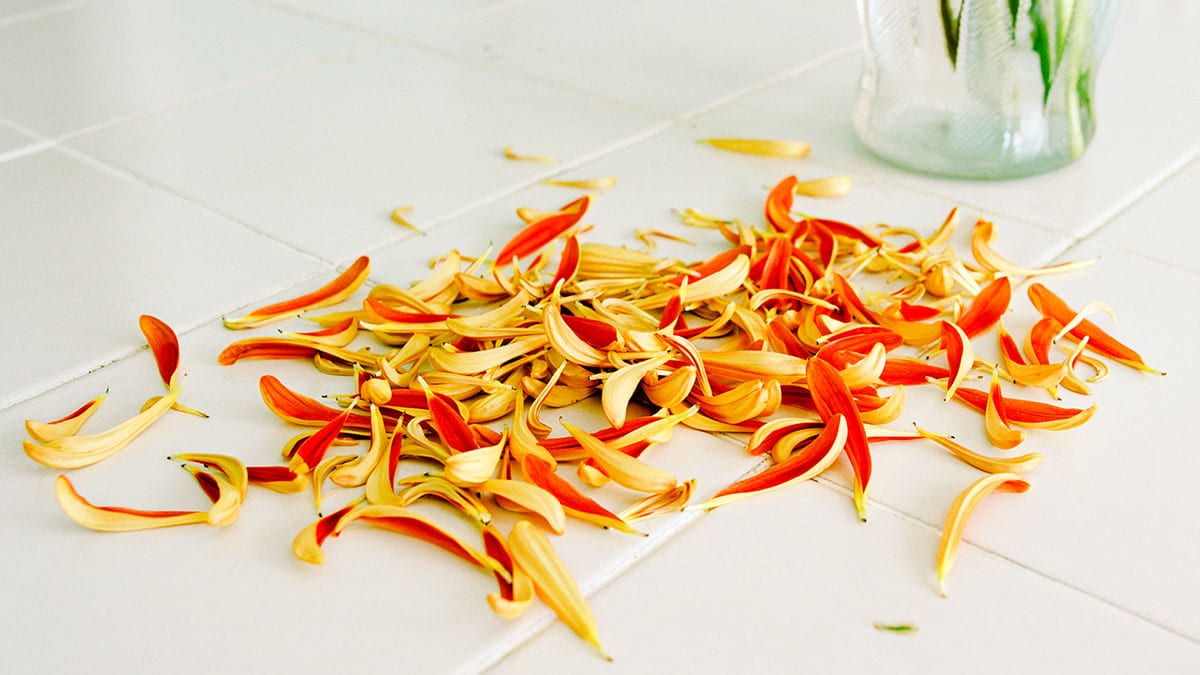 كيف تتخلّص من الاعتذار المفرط الذي يلغي شخصيتك؟