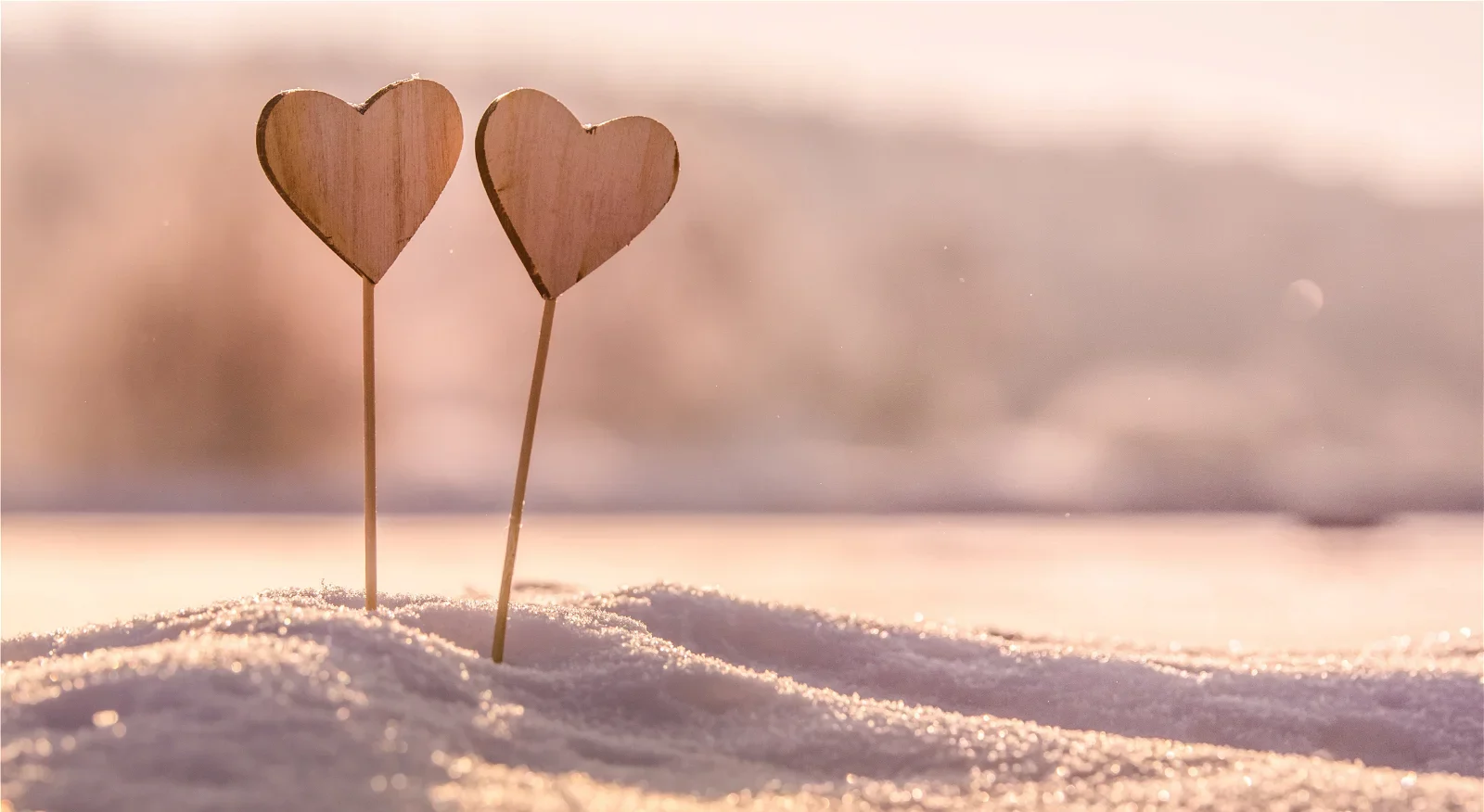 أسباب فشل الزواج وعلامات تهدد استمراره