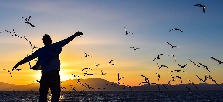 إلى أي مدى خُلق الإنسان حرًّا؟